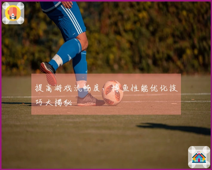 提高游戏流畅度，博鱼性能优化技巧大揭秘
